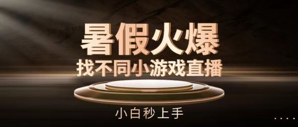 暑假火爆找不同小游戏直播间，小白秒上手【揭秘】-随风网创