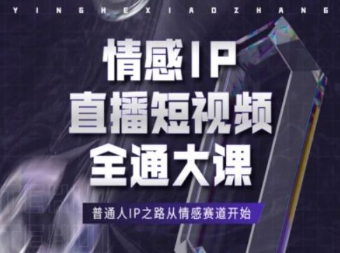 情感IP直播短视频全通大课，普通人IP之路从情感赛道开始-随风网创