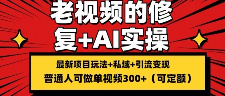 修复老视频的玩法，搬砖+引流的变现(可持久)，单条收益300+【揭秘】-随风网创